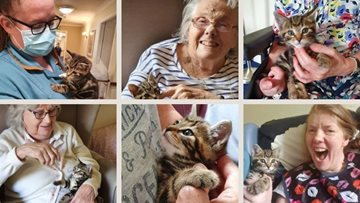 Friendly cat finds her forever home in Northwich